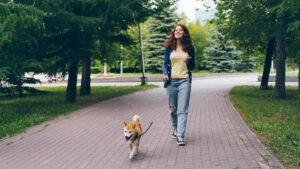 O femeie plimbă câinele în parc în timp ce ține un smartphone în mână.