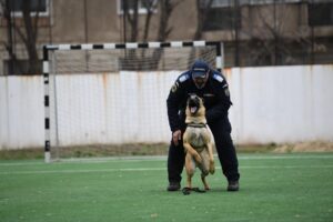 Un jandarm la exerciții, alături de un câine utilitar.