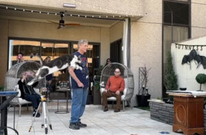 Motanul Oscar safe o săritură de Cartea Recordurilor.