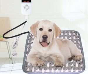 Câine așezat pe o pătură electrică.