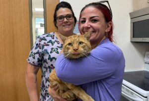 o pisica in bratele stapanei