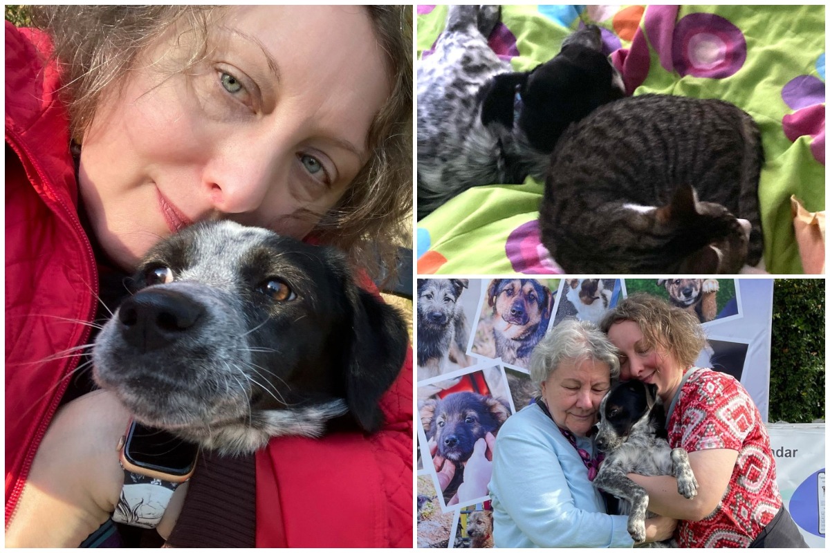 Colaj cu cățelușa ASPA Ruby și stăpânele sale