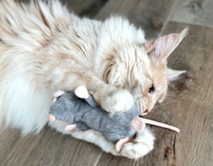 O pisică se joacă cu un șoricel de pluș.