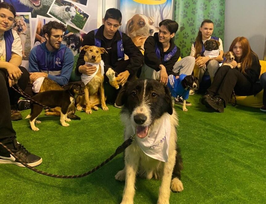 Câini și voluntari ASPA la un târg de adopții.