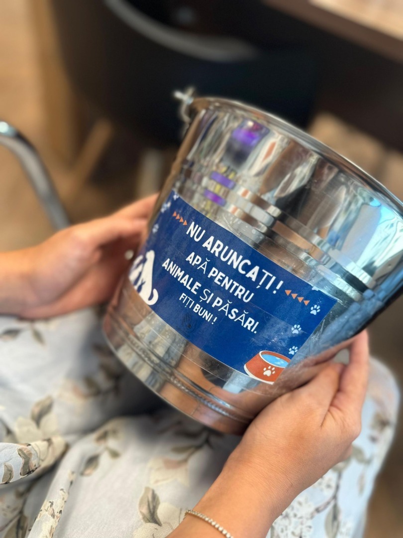 2ae8c063-b7fb-4515-aed9-7800189d34cc