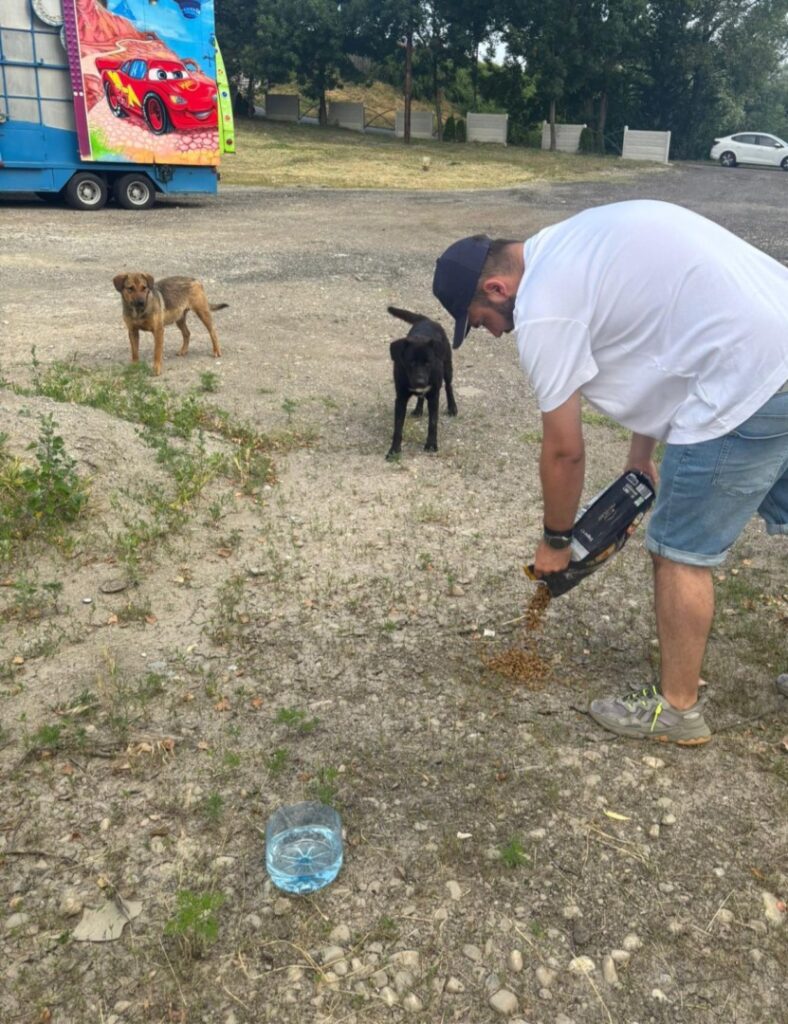 494368592_735649838831644_8718642836895746765_n