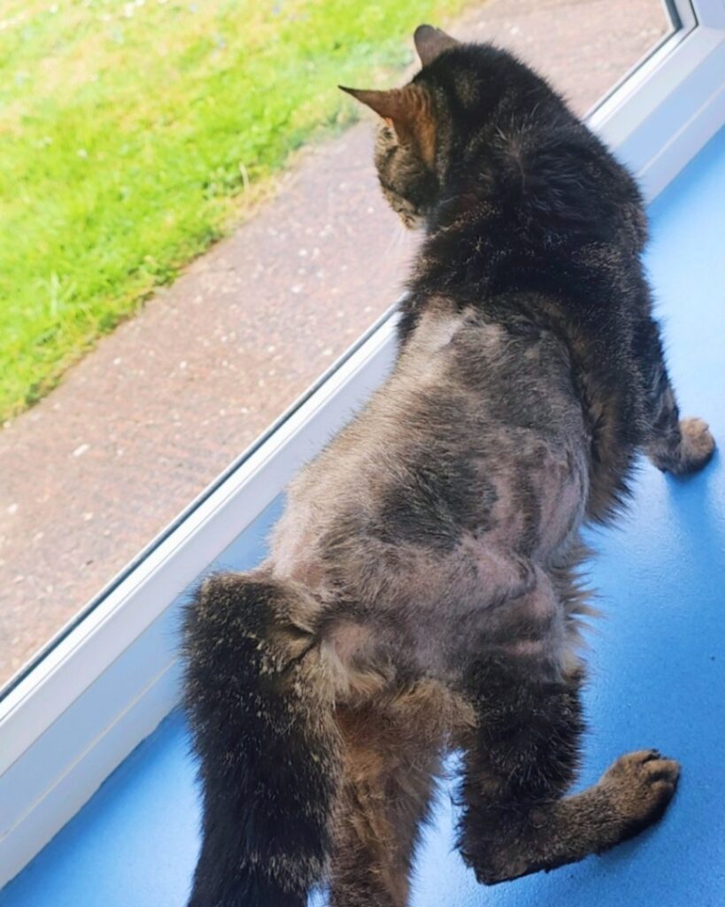 495130594_1251859232965461_8830654136966616227_n