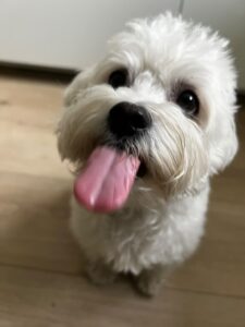 501156631_2061415317604125_4740605112323417010_n