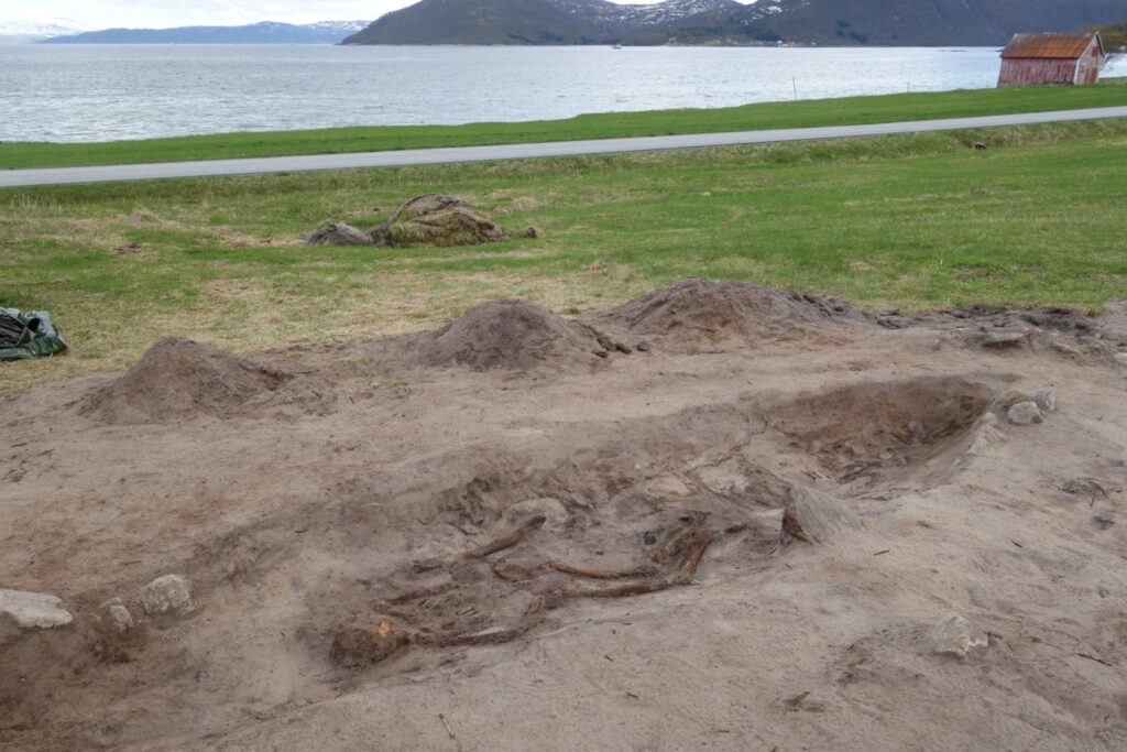 501209082_1226562539256966_420890984216590036_n