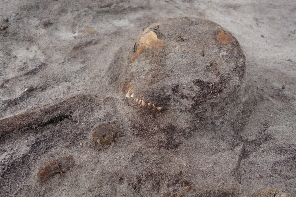 502620100_1226562865923600_5684197652264049323_n