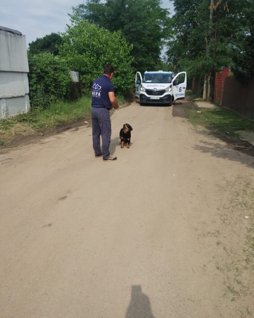 503809187_1057780293173774_8063122504077851436_n