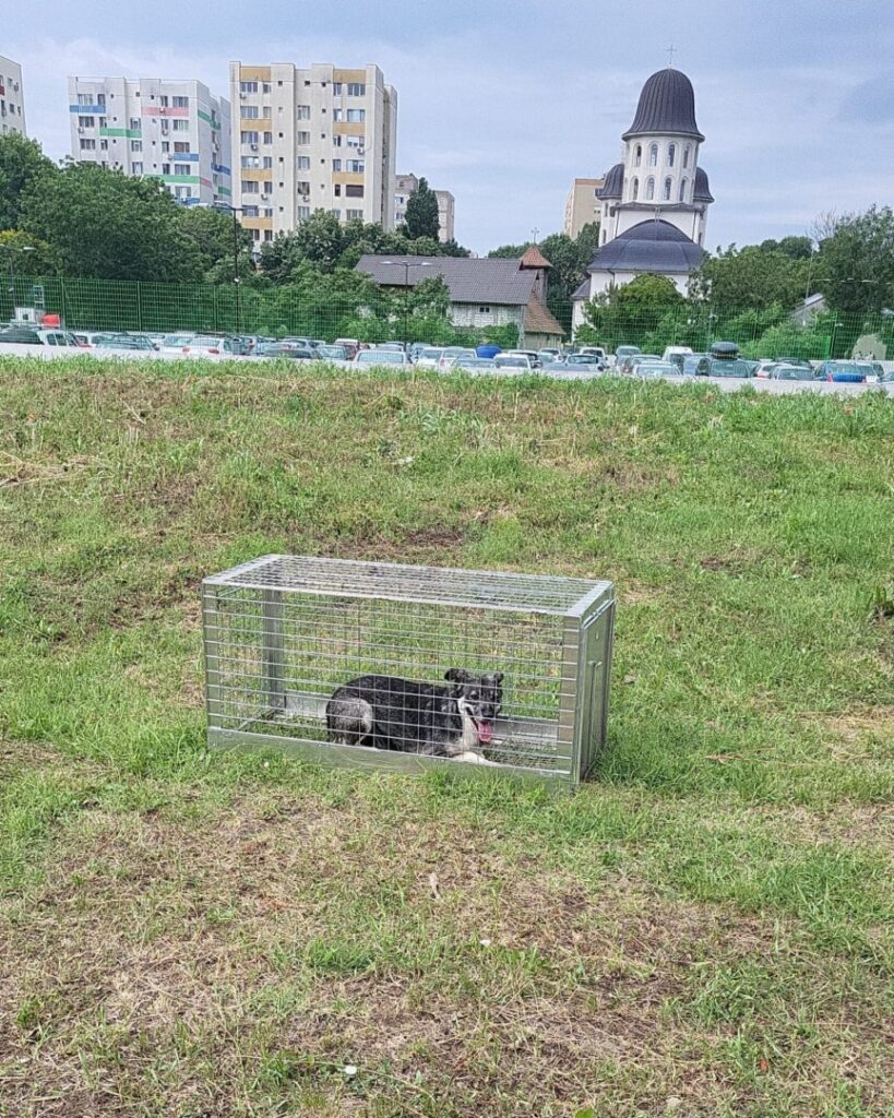 505376773_1057779706507166_6723235791884446153_n