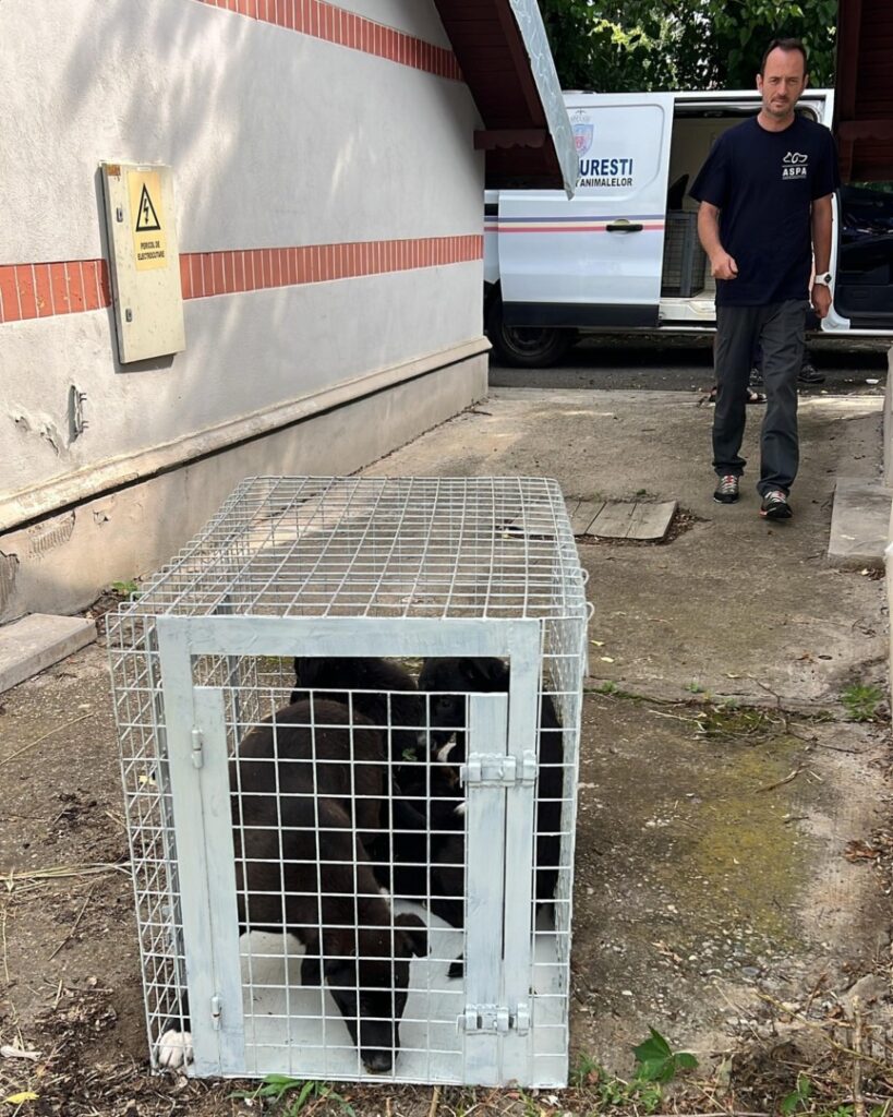 505997231_1057780133173790_2644380109383957364_n