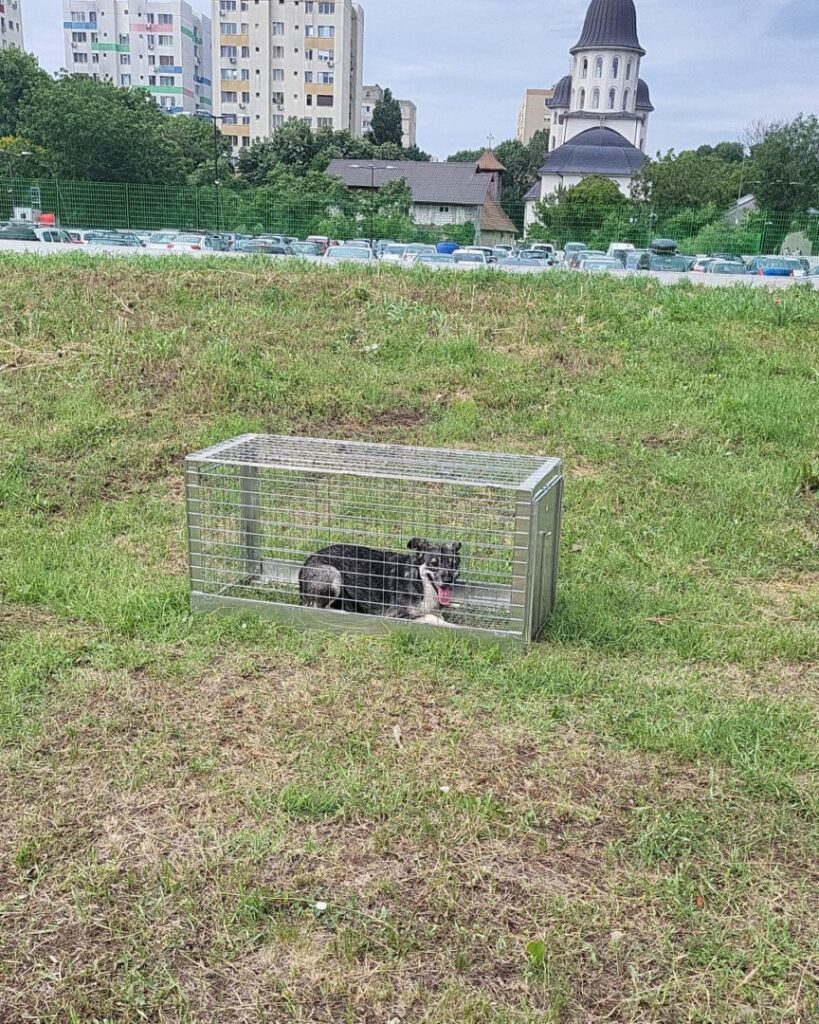 506099930_1057779019840568_1350038924853403397_n