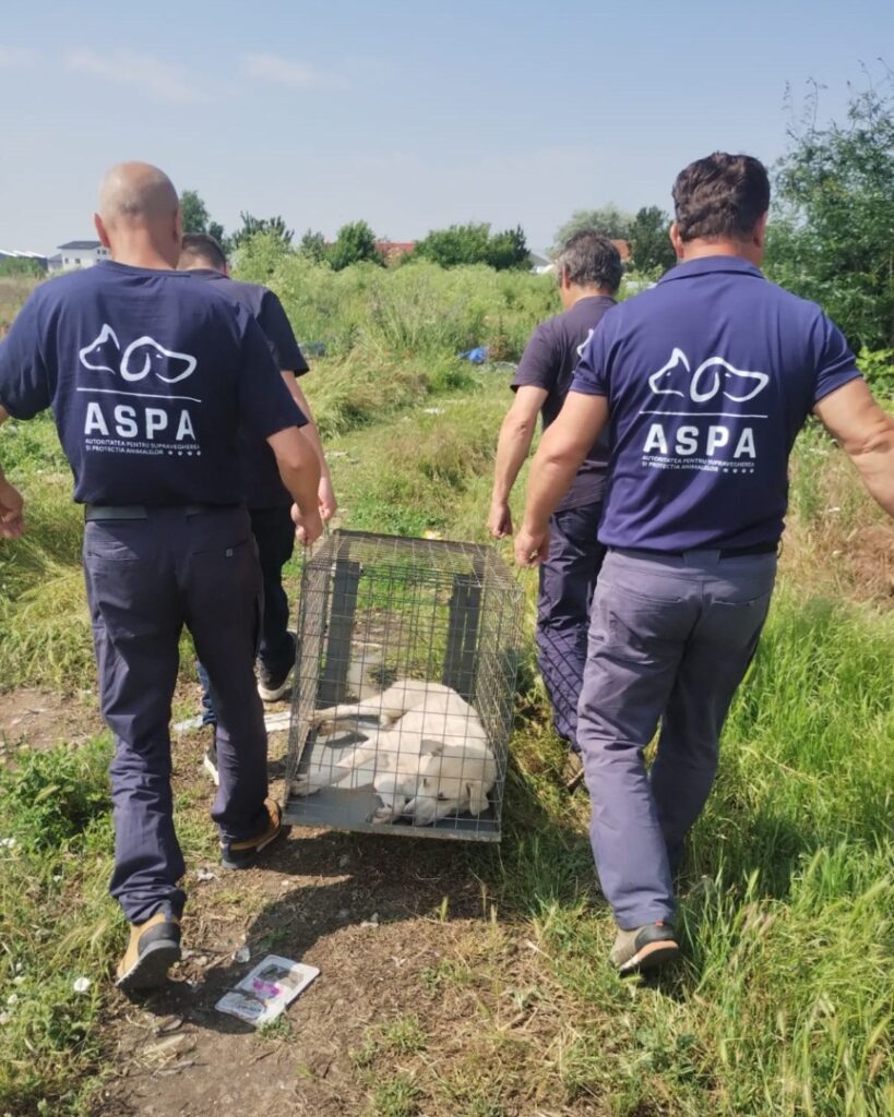 506439036_1057779219840548_2478388317353823432_n