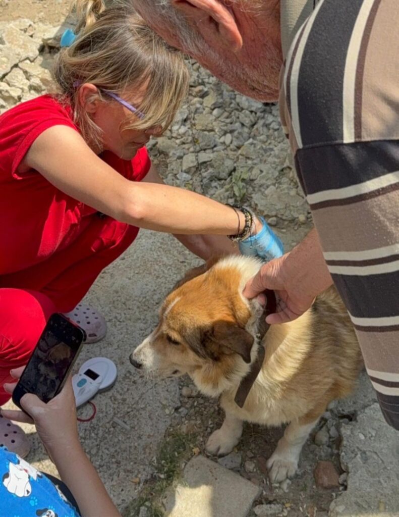 506446200_739494588447169_5261134169024187005_n