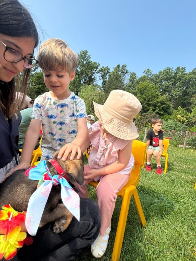 506941894_1059381289680341_5275021778090207640_n