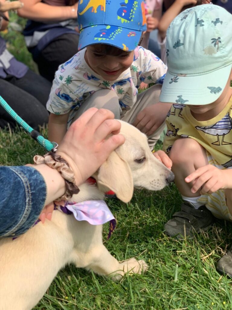 506959104_1059381266347010_2989939672644871462_n