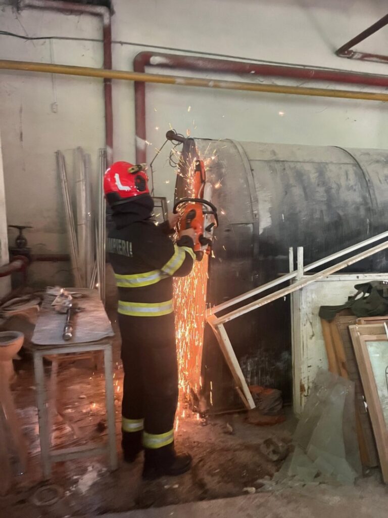 pisica-salvata-popieri-isu-timis