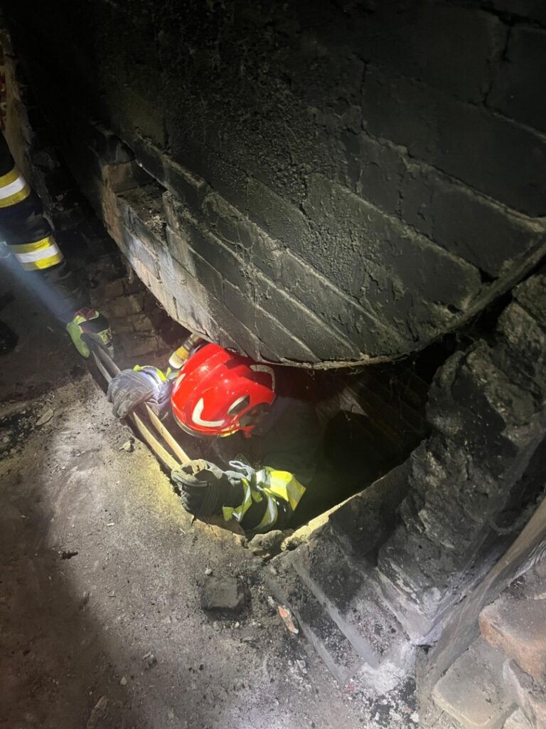 pisica-salvata-popieri-isu-timis