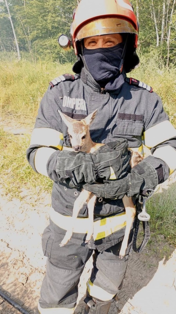 507488411_1027749782873204_2676225377079536218_n