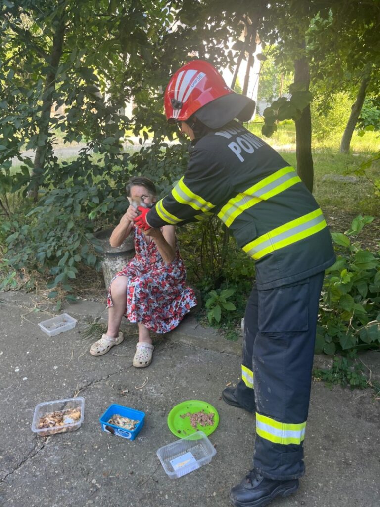 pisica-salvata-popieri-isu-timis