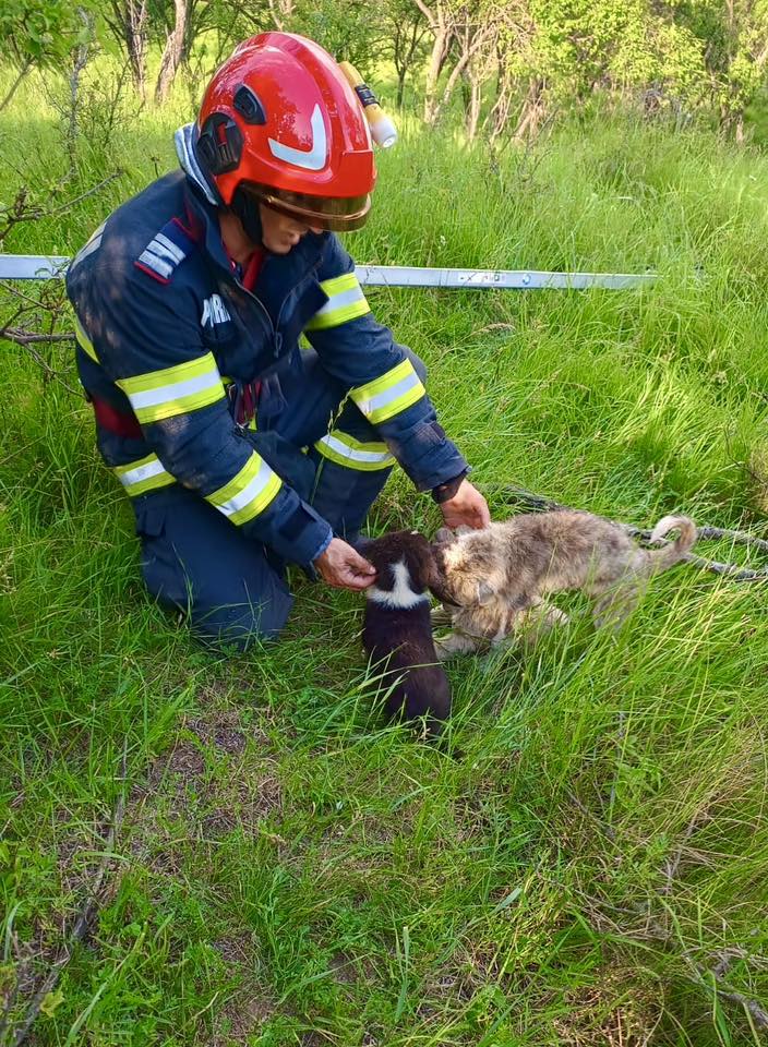 507990696_1027749019539947_2657889296655689261_n