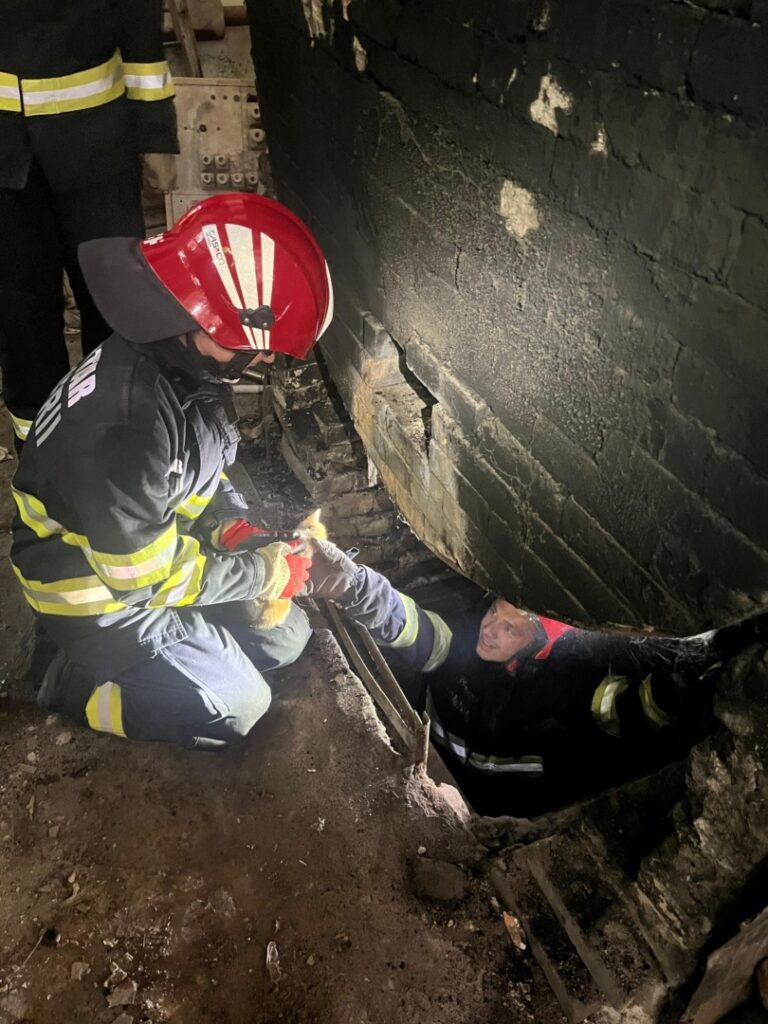 pisica-salvata-popieri-isu-timis