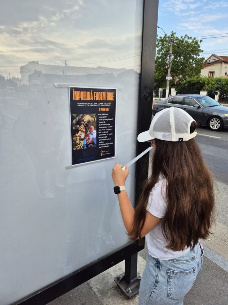 508656786_735650275498267_4288178635188707184_n