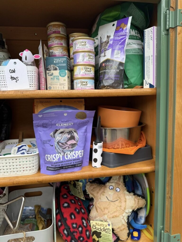 508760480_122102046734912534_4055208221116183370_n