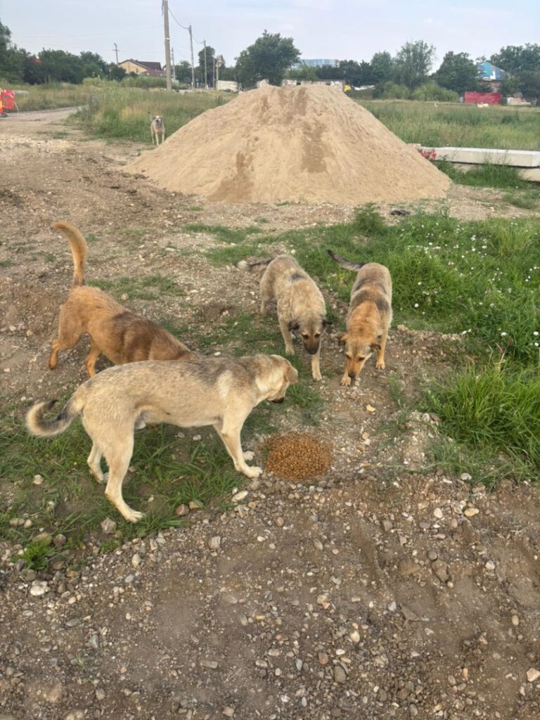 508825882_735650382164923_3045106618453842479_n