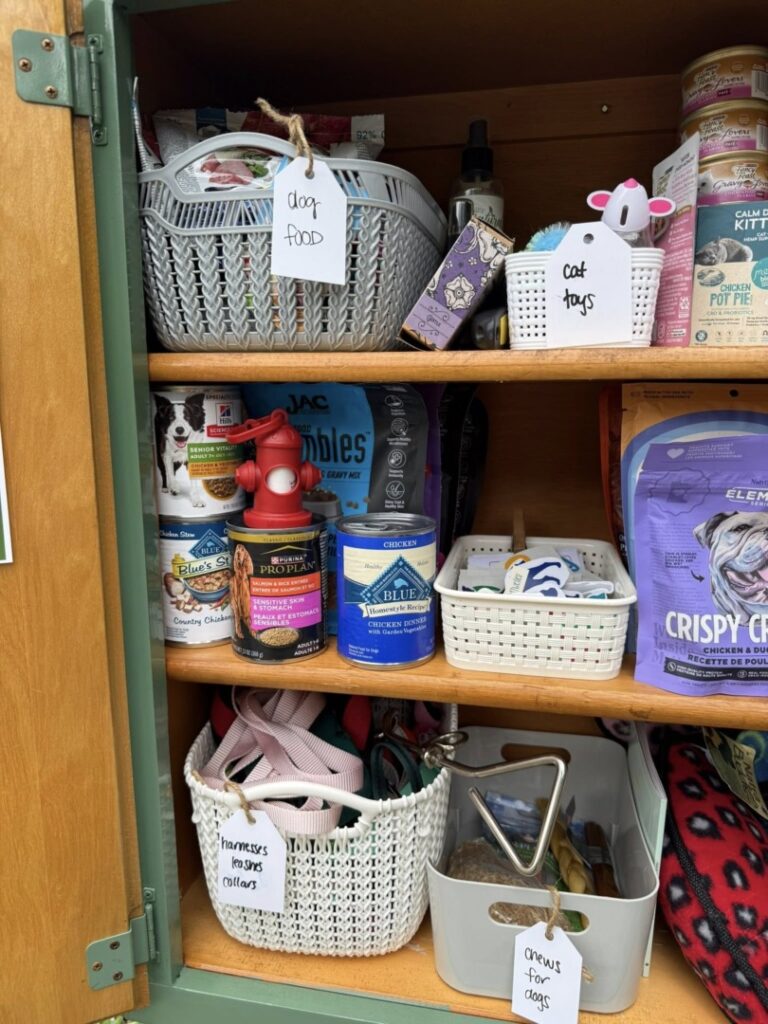 509092804_122102046914912534_8473976287151655921_n