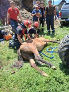 509359589_1188124440024810_2711348621292358803_n