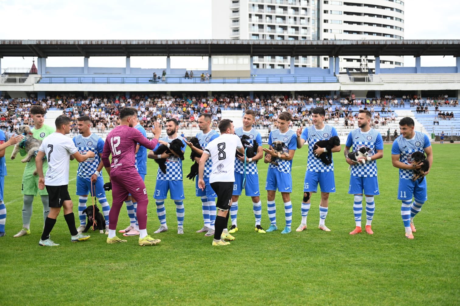 509440115_122162734916550808_4052155201029616261_n