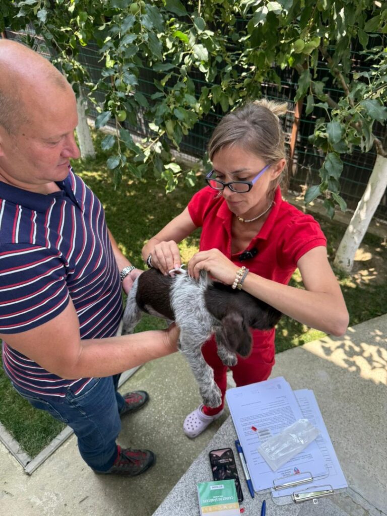 510249589_739495431780418_5365188088385143265_n