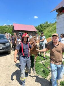 510401689_1188124146691506_3128049491955608850_n