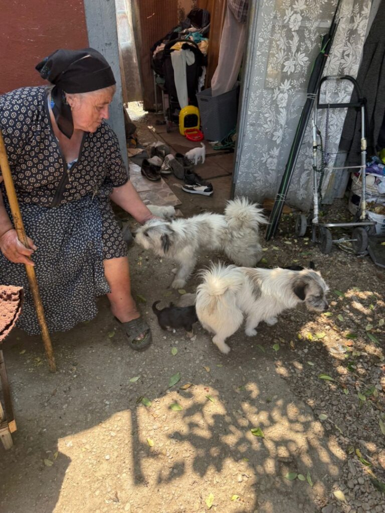 510458823_739495368447091_4747166519163512529_n