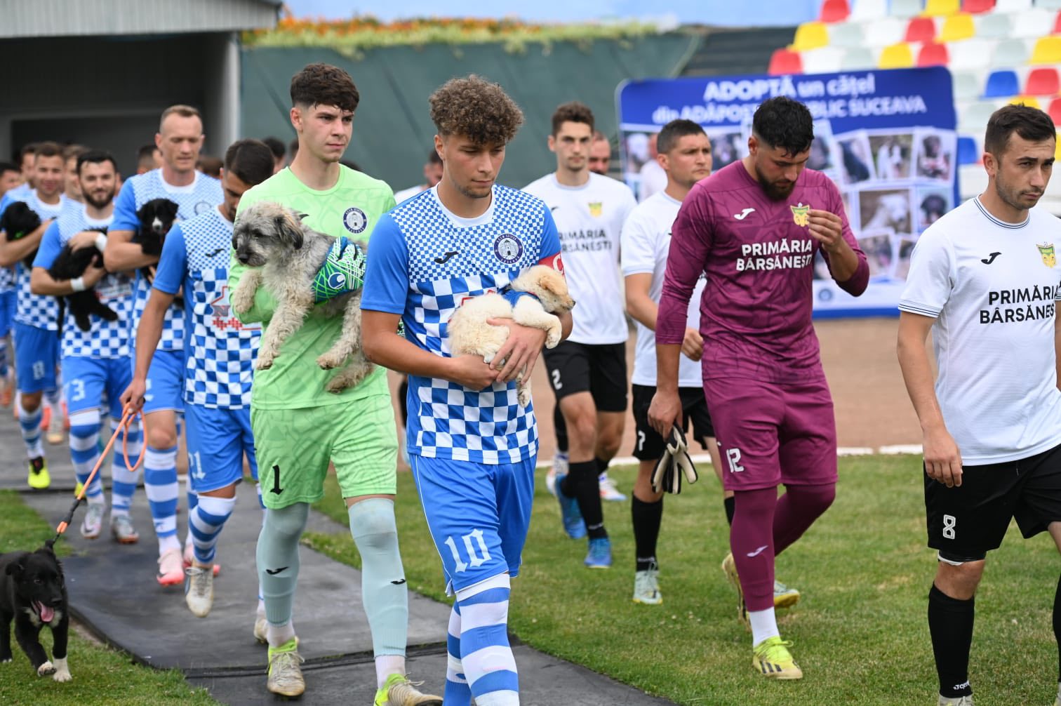 510986297_122162735066550808_225744679696190835_n