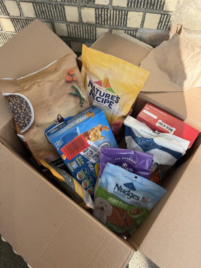 511160924_122107734968912534_5735500786631276713_n