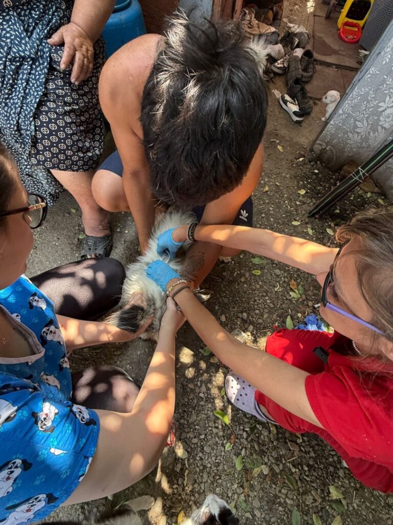 511509182_739495381780423_7207708526571966910_n