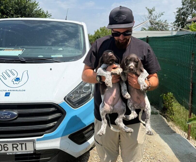 Doi cățeluși ținuți în brațe de un tânăr