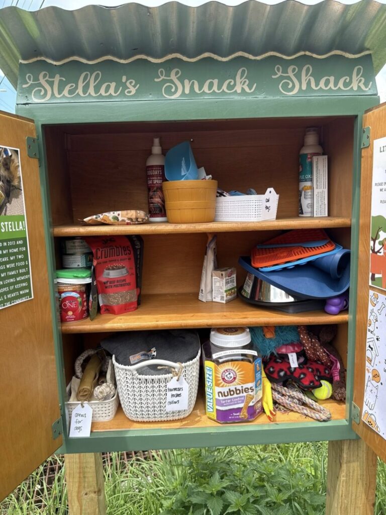 513934316_122111396276912534_2682682725086322310_n