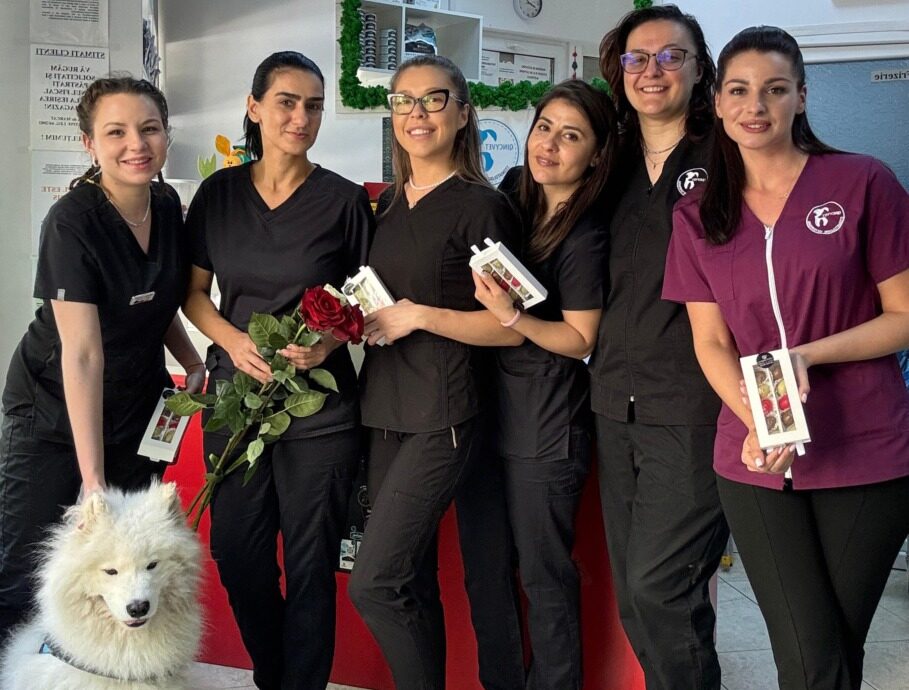 Medici de la Qincyvet alături de un câine