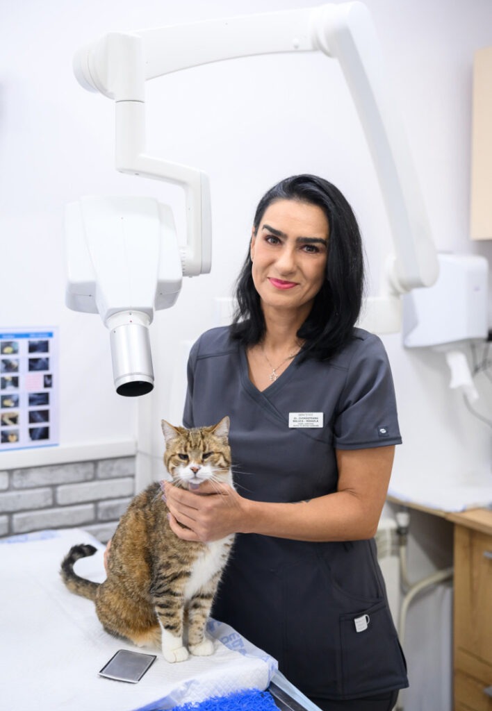 Raluca Zvorasteanu, Fondator Qincyvet, lângă o pisică