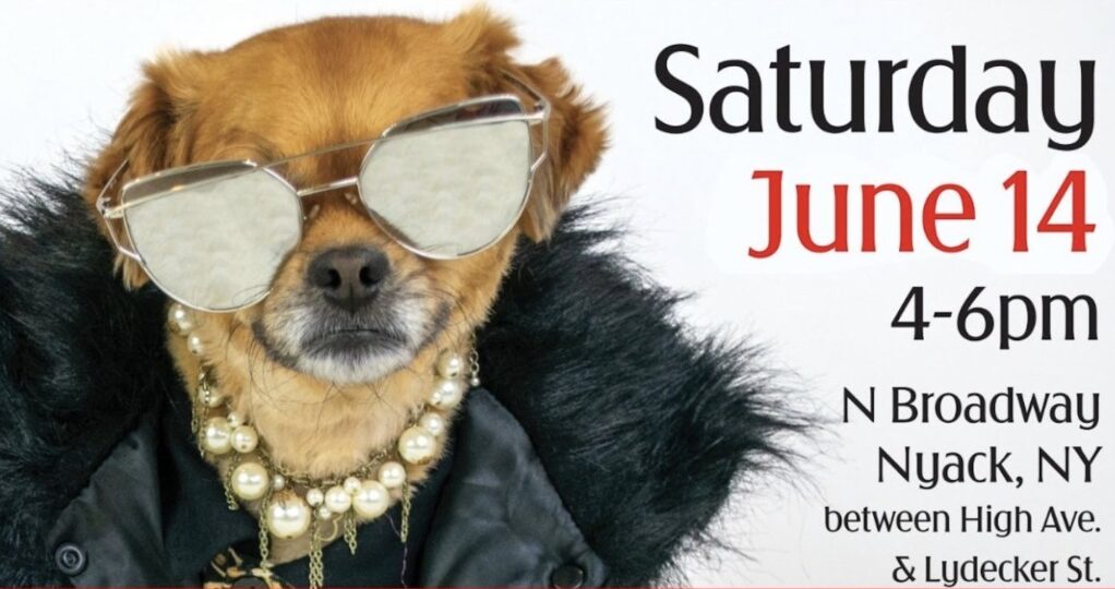 eveniment moda pentru caini sua