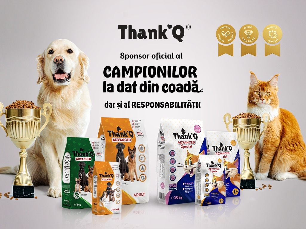 ThankQ - Campion Responsabil