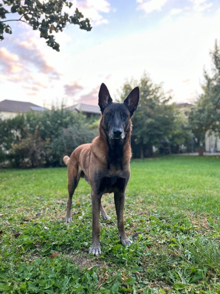 WhatsApp Image 2025-06-15 at 16.47.07