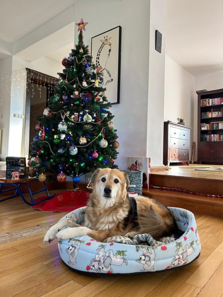 WhatsApp Image 2025-06-15 at 16.47.08 (1)