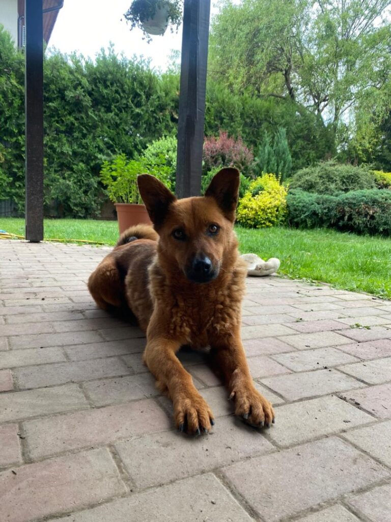 WhatsApp Image 2025-06-15 at 16.47.08 (2)