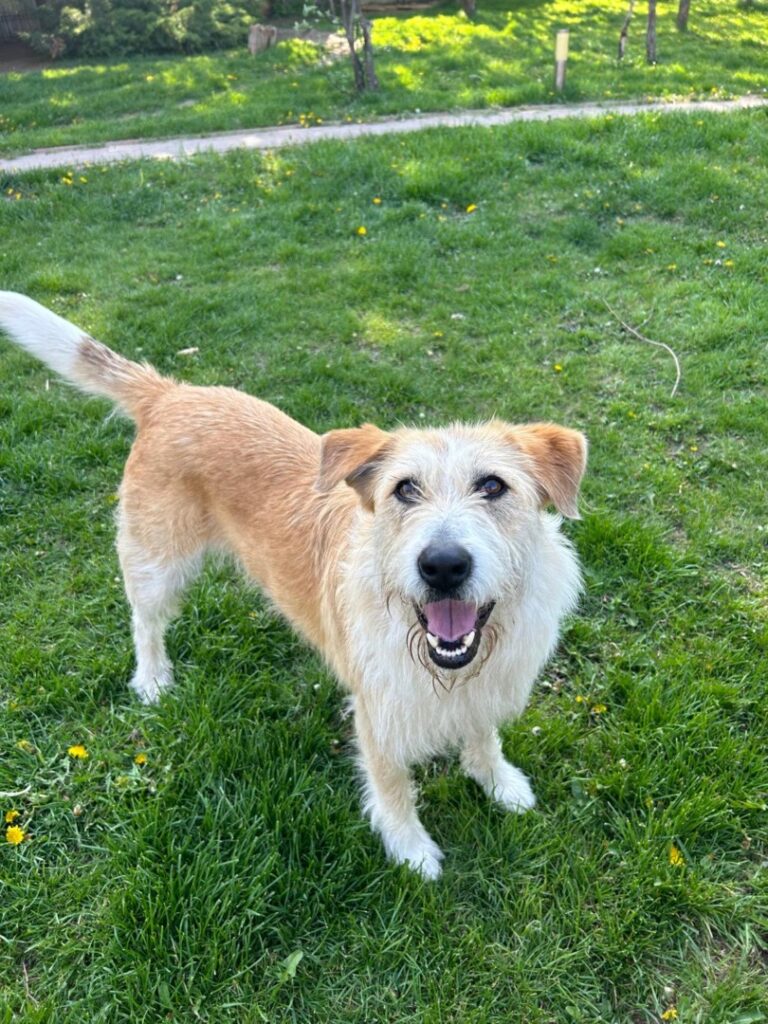 WhatsApp Image 2025-06-15 at 16.47.08 (3)